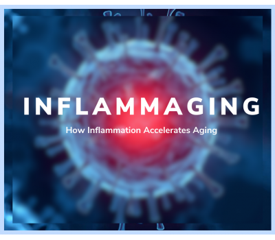Inflammaging: How Inflammation Accelerates Aging
